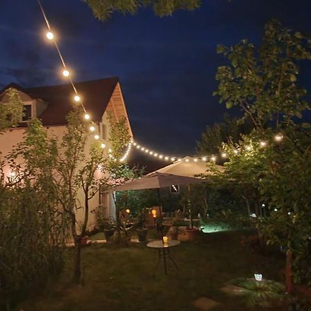 Forest Inn Izvorani エクステリア 写真