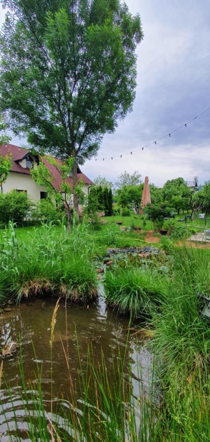 Forest Inn Izvorani エクステリア 写真
